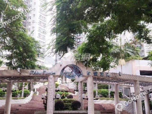 Sham Tseng - Rhine Garden 01