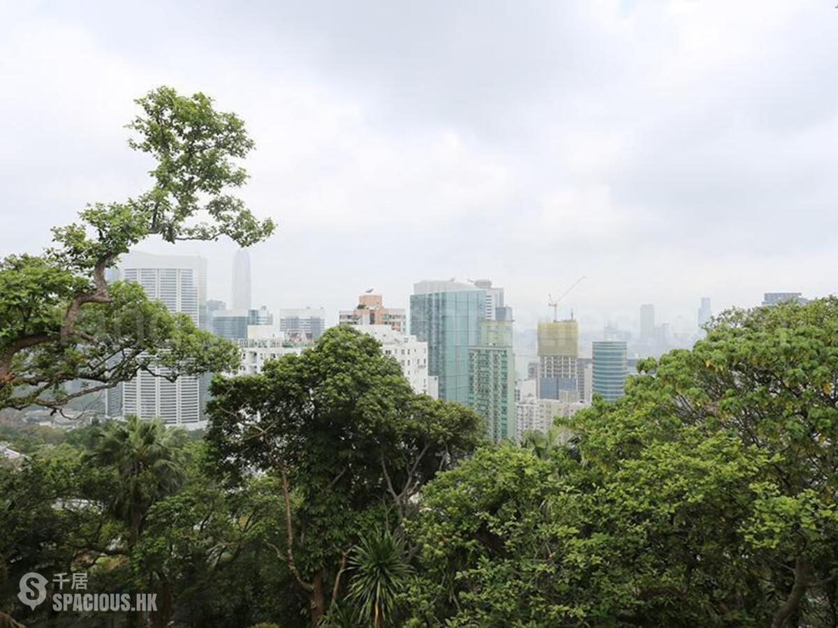 東半山 - 楠桦居 01