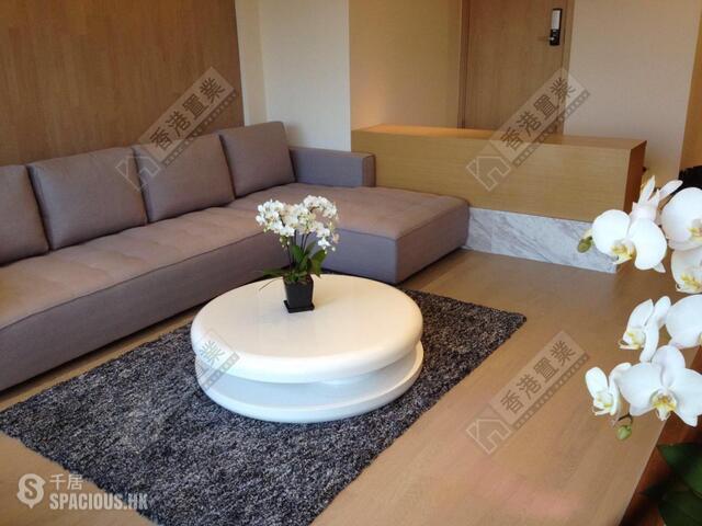 Beacon Hill - Moonbeam Terrace 01