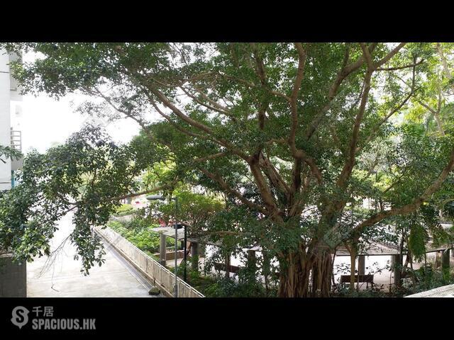 Sai Wan Ho - Lei King Wan Sites C Block 10 Yee Qun Mansion 01