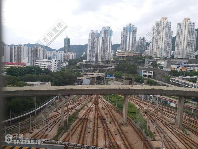 九龙湾 - 德福花园 01