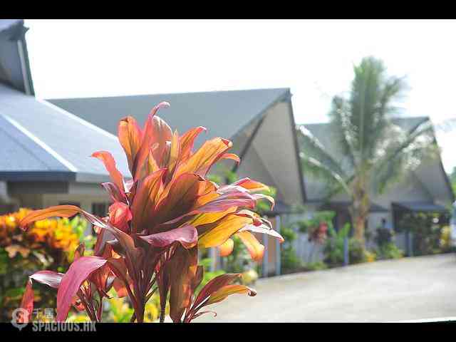 Port-Vila - Blue Lagoon Bungalows 18