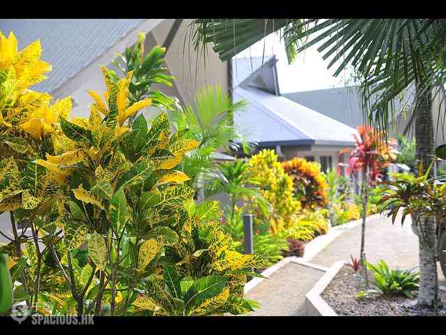 Port-Vila - Blue Lagoon Bungalows 19