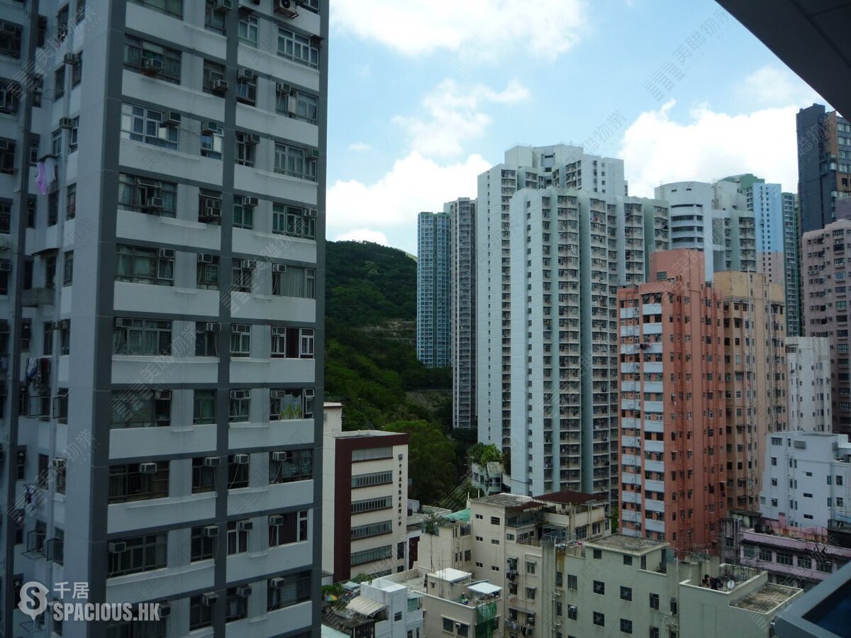 Sai Wan Ho - Island Residence 01