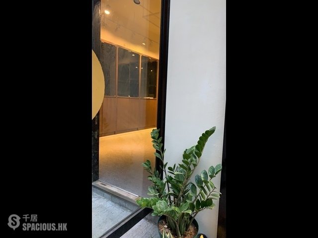 Poho - 40, Tung Street 01