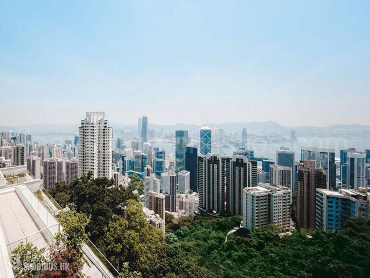 山顶- 白加道28号 01