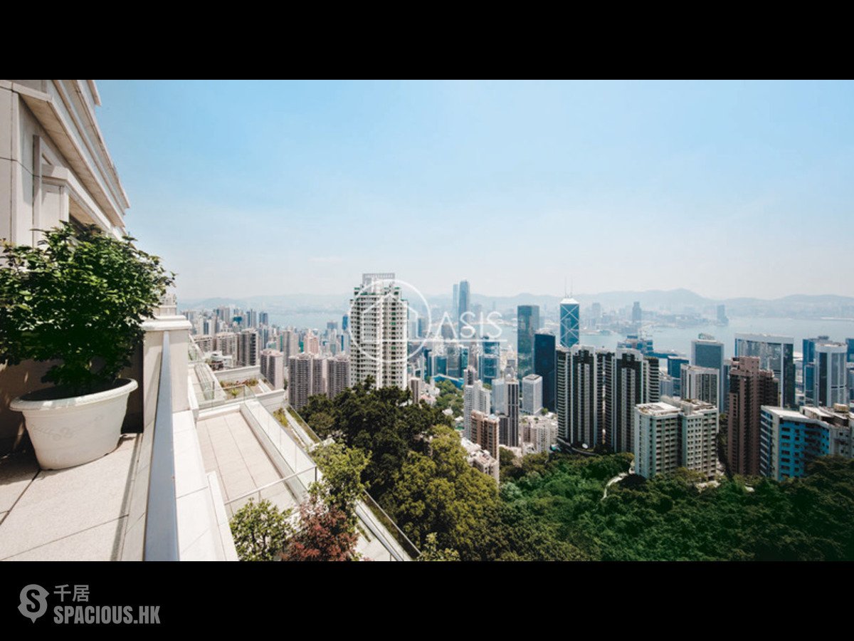 山顶- 白加道37号 01