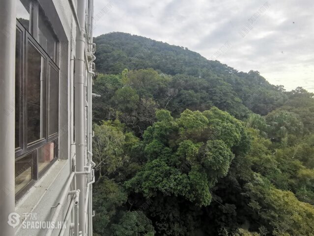 The Peak - Kellett Heights 01