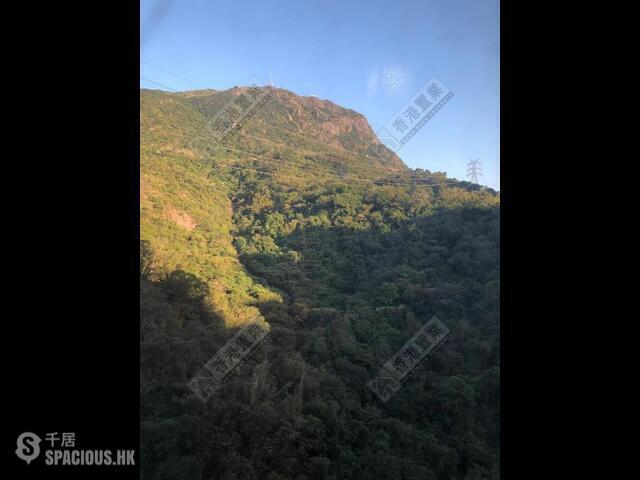 Diamond Hill - Hilltop Gardens 01