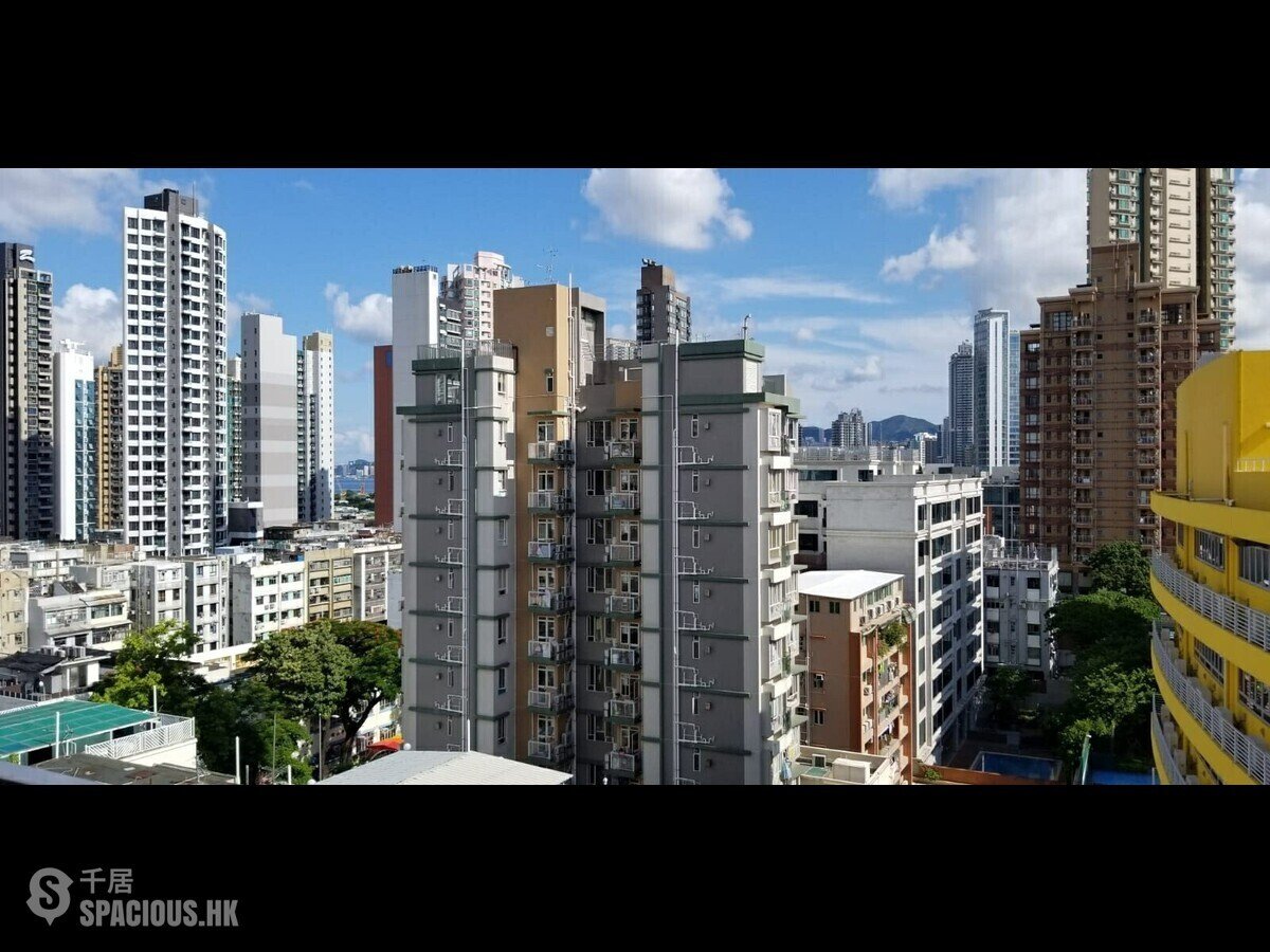 Kowloon City - Ayton 01