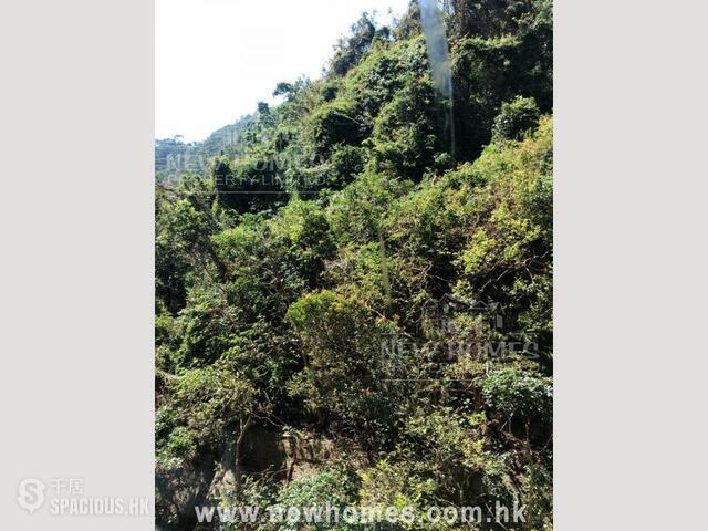 Jardines Lookout - Green Villa 01