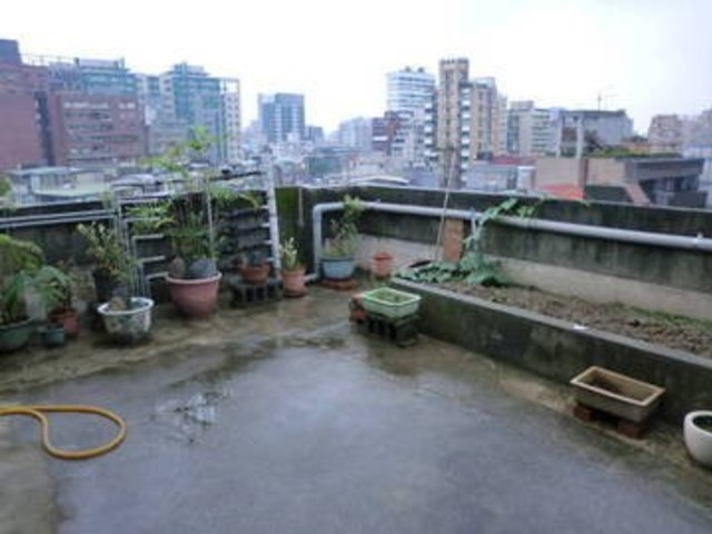 信义区 - 110台湾台北市信義區永吉路 01