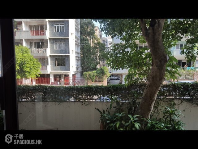 九龙城 - 南方花园 01