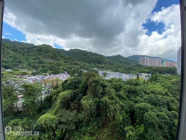大圍 - 金獅花園 01
