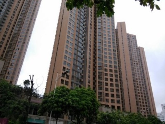 Longgang Center - 广业成学府道花园广业成学府道花园號 01