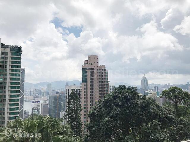 中半山 - 玫瑰别墅 01