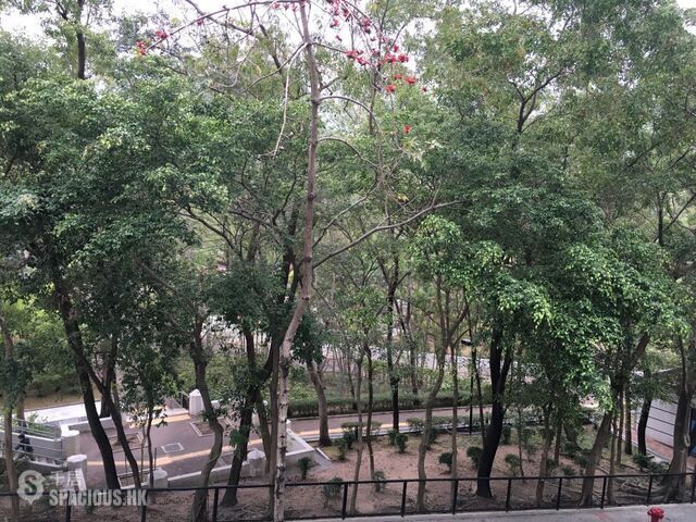 Kowloon City - Kam Kwok Building 01