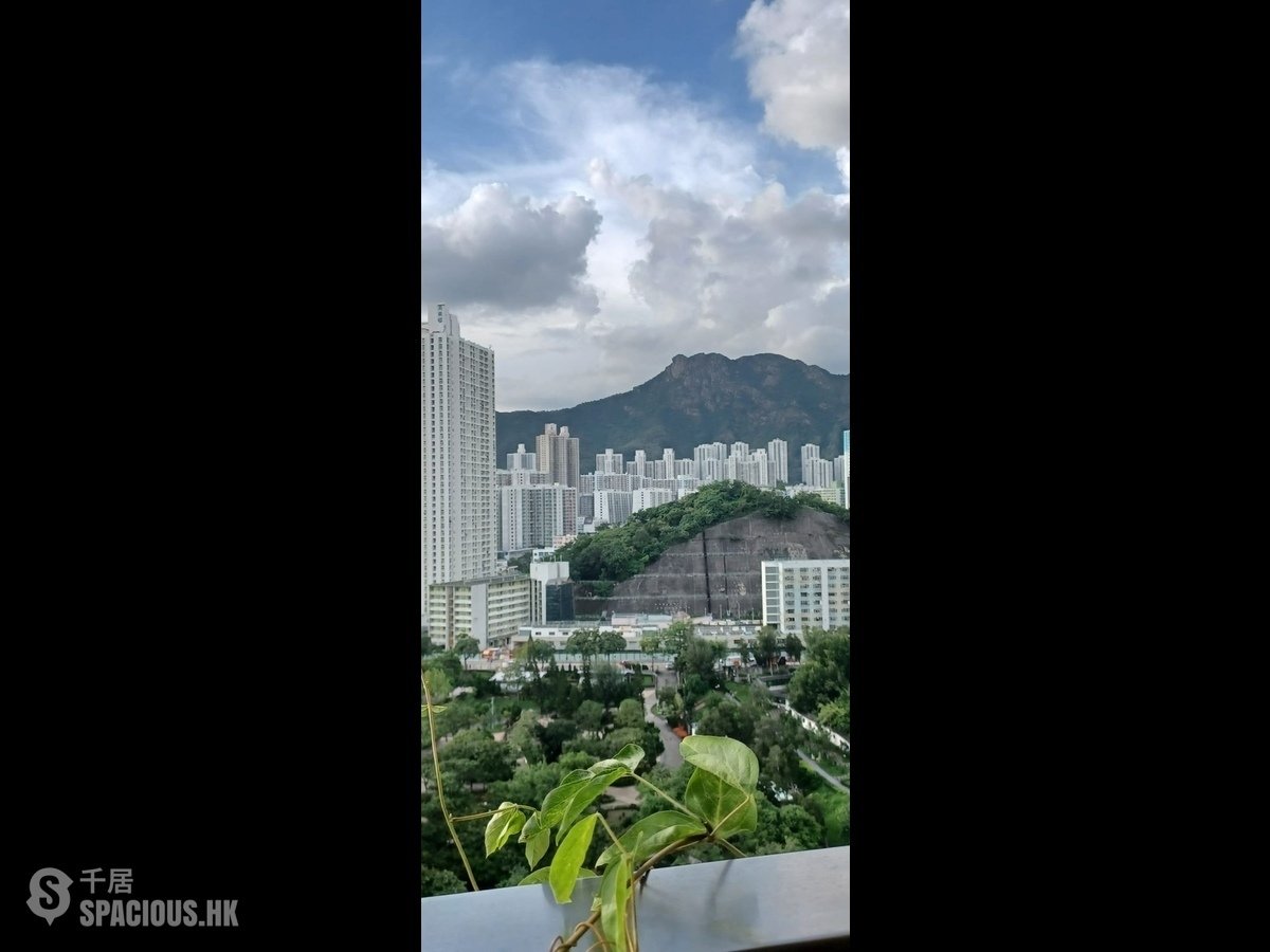 Kowloon City - Billionnaire Avant 01