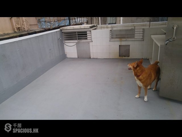 堅尼地城 - 卑路乍街48-50號 01