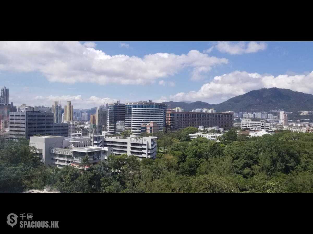 Ho Man Tin - Kadoorie Lookout 01