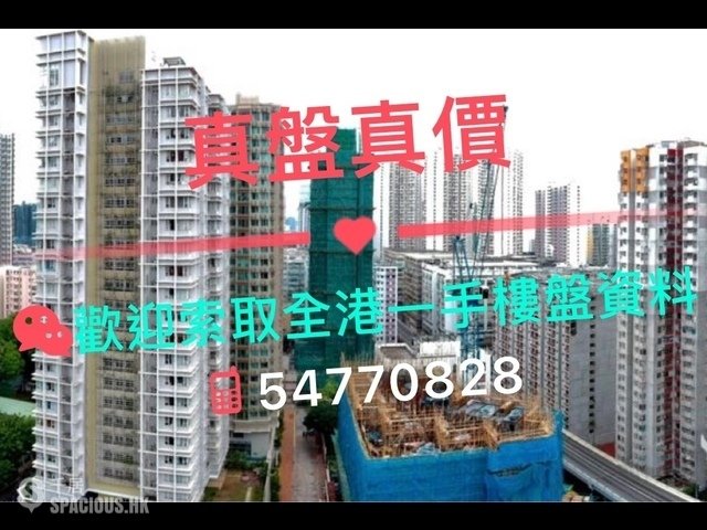 Hung Hom - Mangrove 01