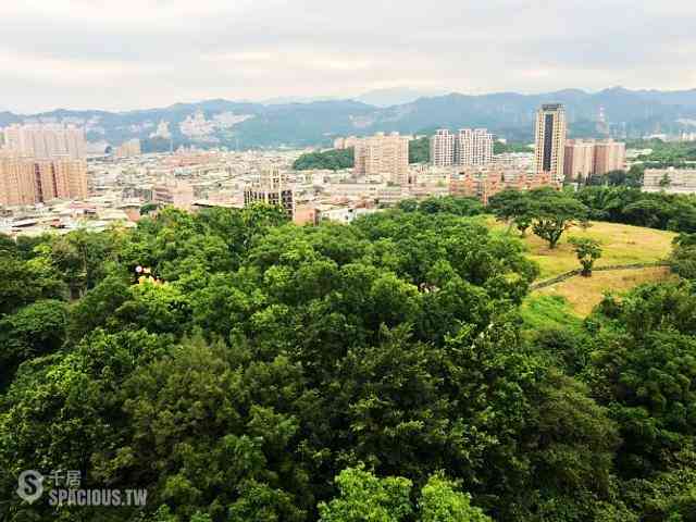 Zhonghe - XX Section 3, Zhongshan Road, Zhonghe, Taipei 01