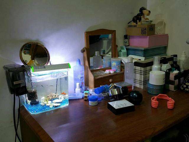 Tucheng - No. XXX, Section 2, Xuefu Road, Tucheng District, New Taipei City, Taiwan 236 01