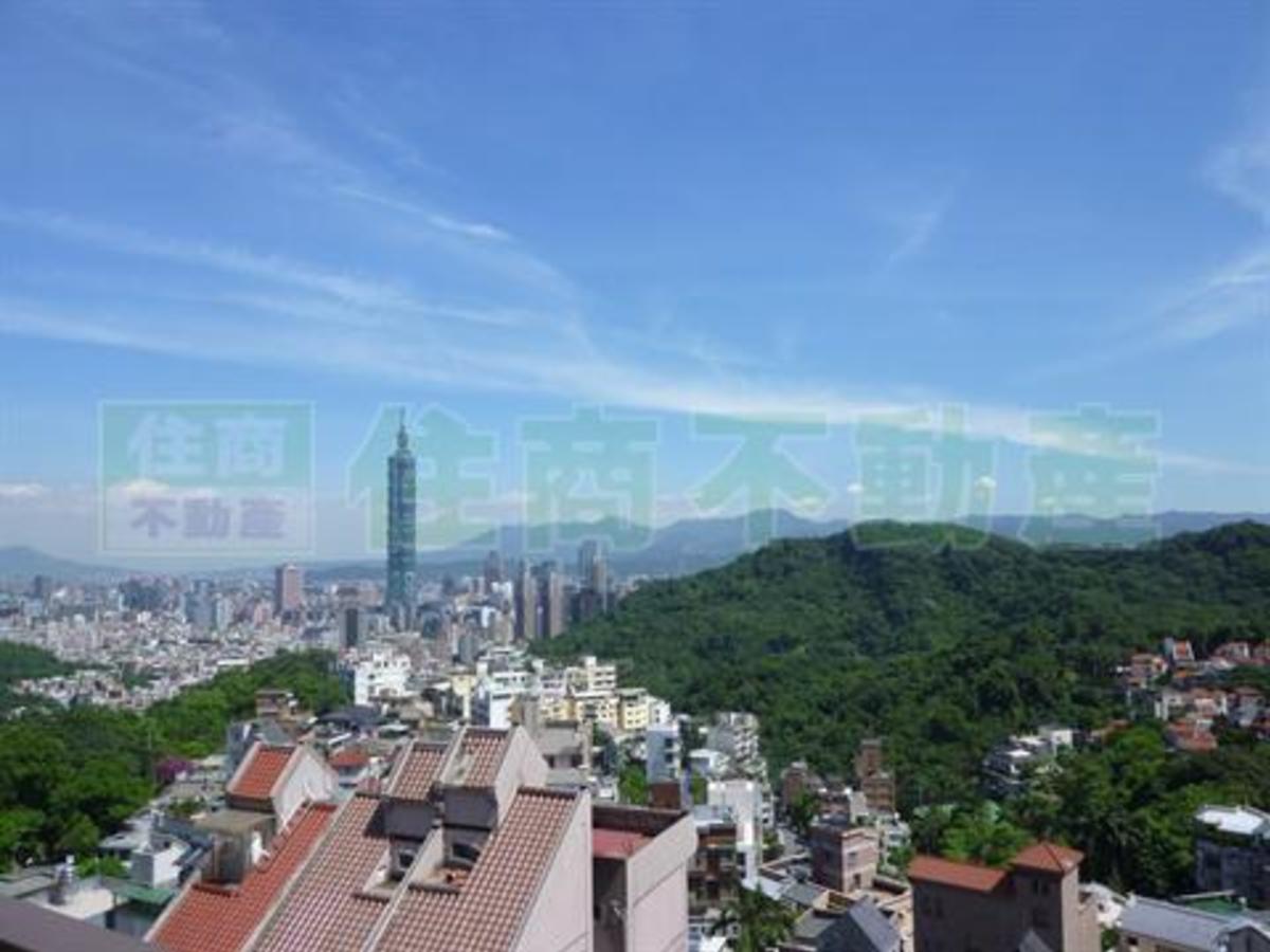 信義區 - 110台灣台北市信義區紫雲街XX號 01