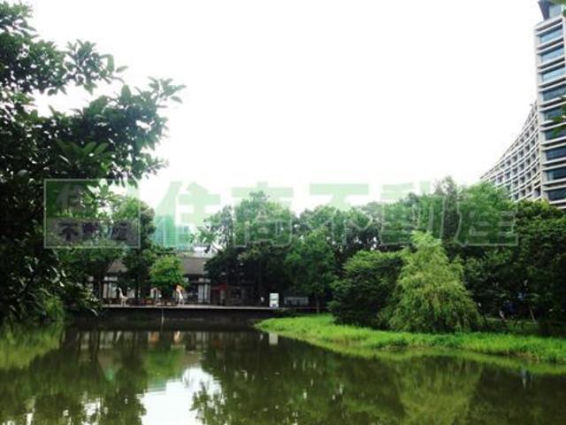 信义区 - 110台湾台北市信義區忠孝東路四段559巷XX號 01