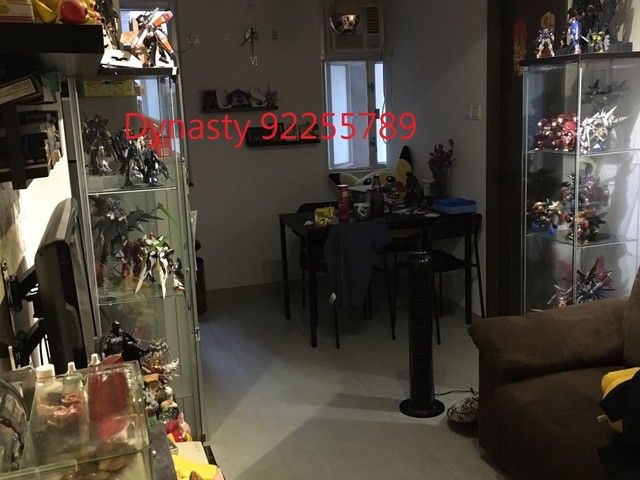 Sheung Wan - 17, Ko Shing Street 01