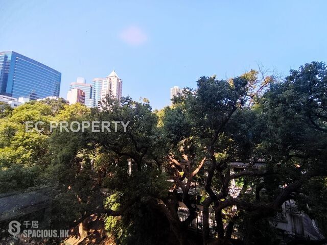 Tsim Sha Tsui - 31, Haiphong Road 01