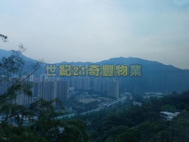 大圍 - 樂山 01
