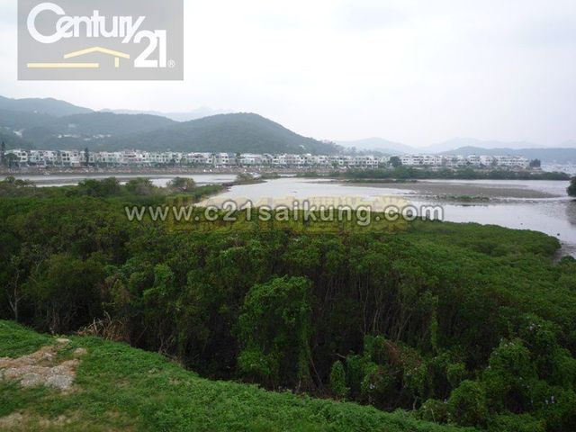 Sai Kung - The Mangrove 01