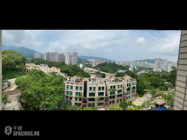 Tai Po - The Paragon 01