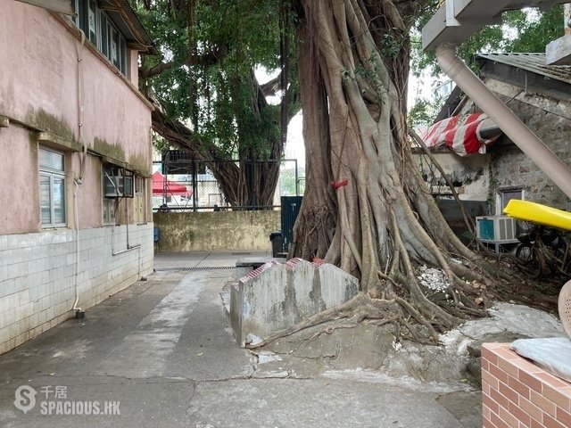 Peng Chau - Wing Kwong Street 01