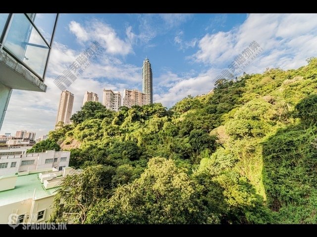 跑马地 - 惠园 01