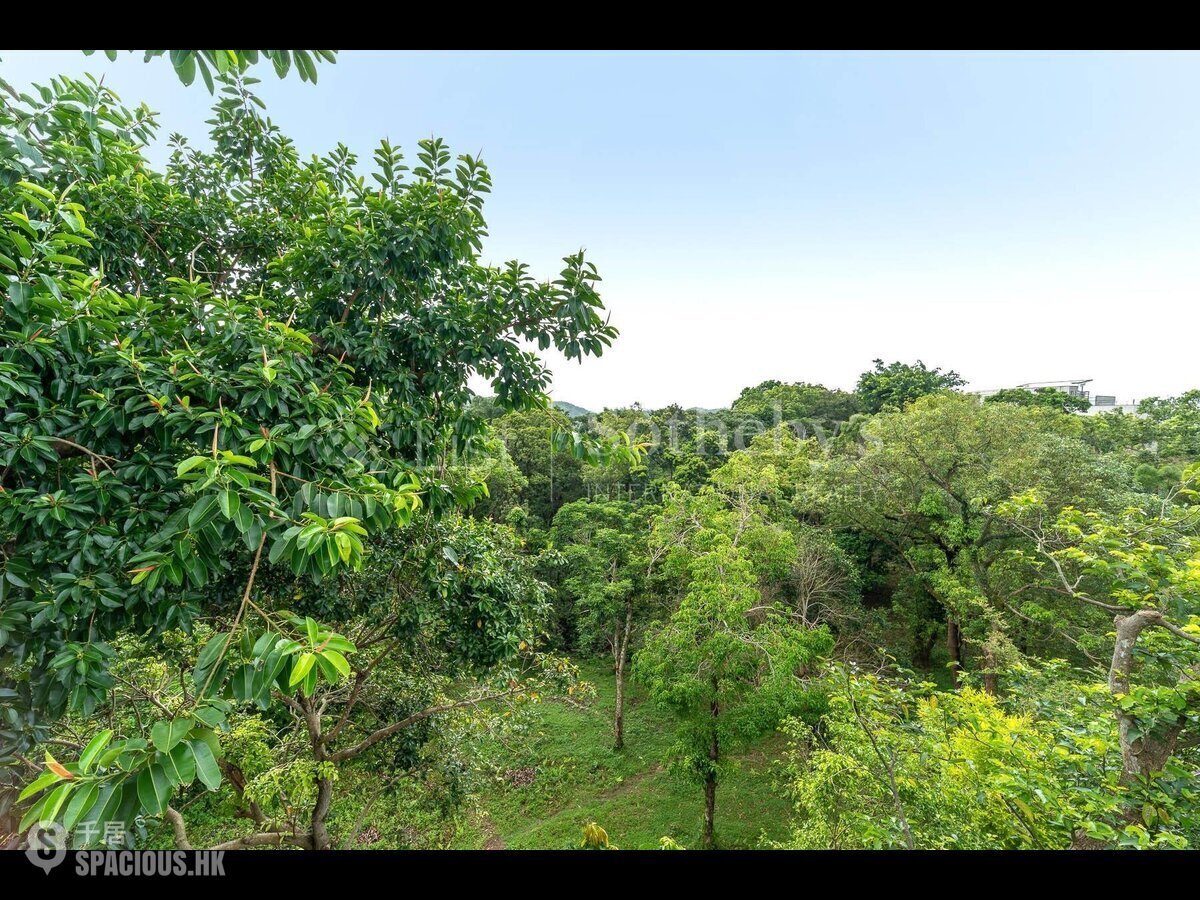 西贡 - 北围村 01