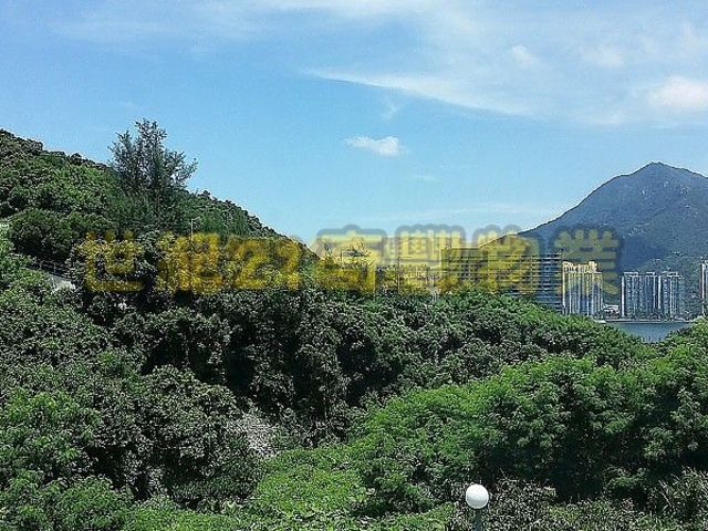 Sha Tin - Pine Villa 01