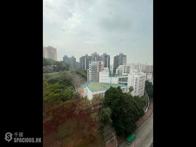 Ho Man Tin - Tip Top Mansion 01