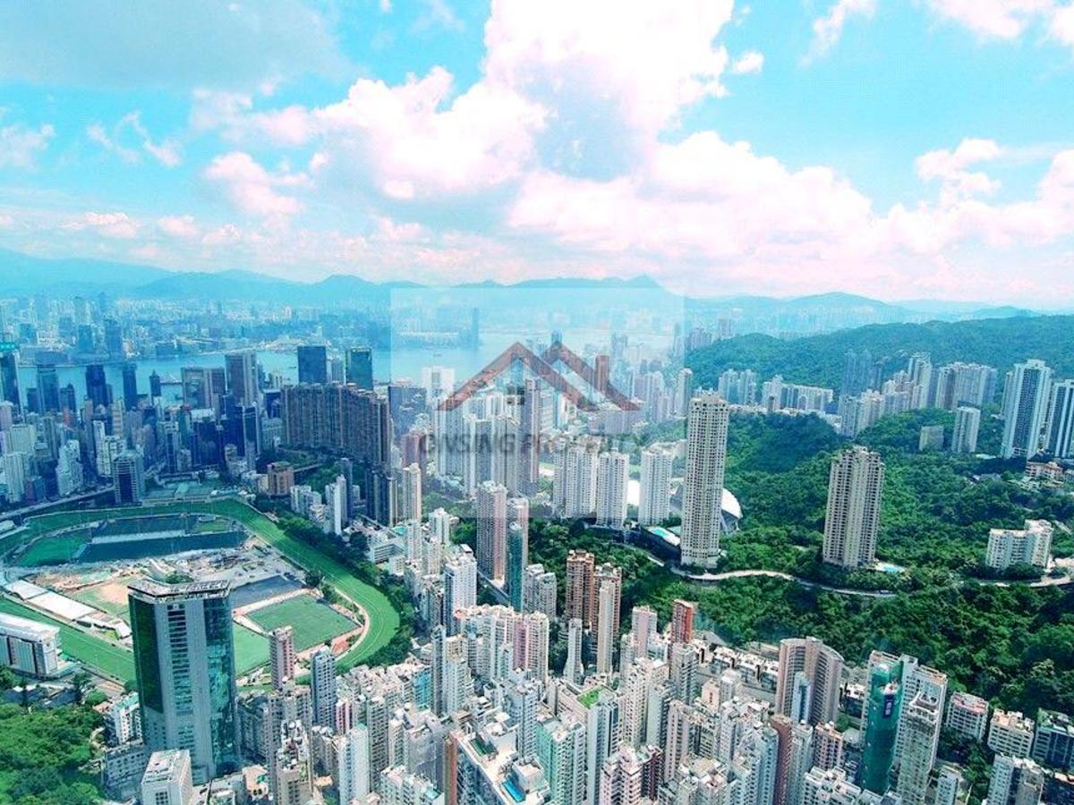 司徒拔道 - 晓庐 01