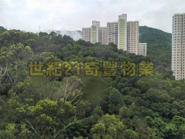 Tai Wai - Park View Garden 01