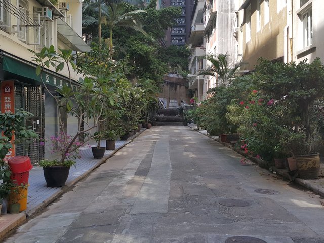 中半山 - 太子臺17-19號 01
