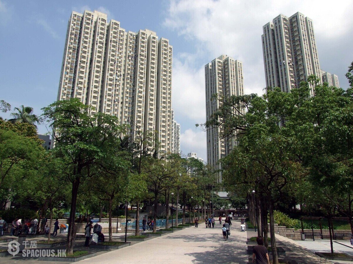 Tai Po - Tai Po Plaza 01