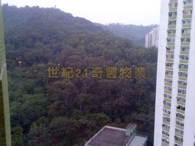Tai Wai - May Shing Court 01