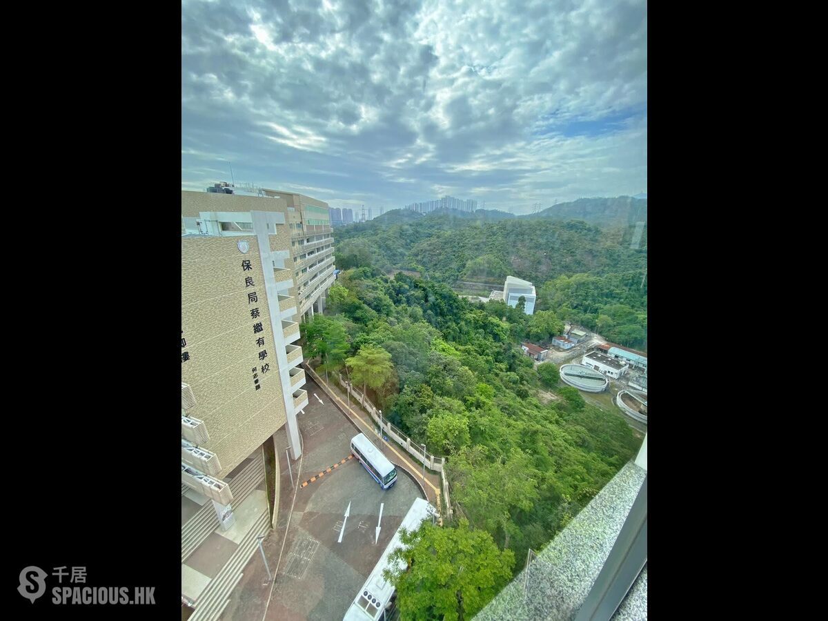 Cheung Sha Wan - Caldecott Hill 01