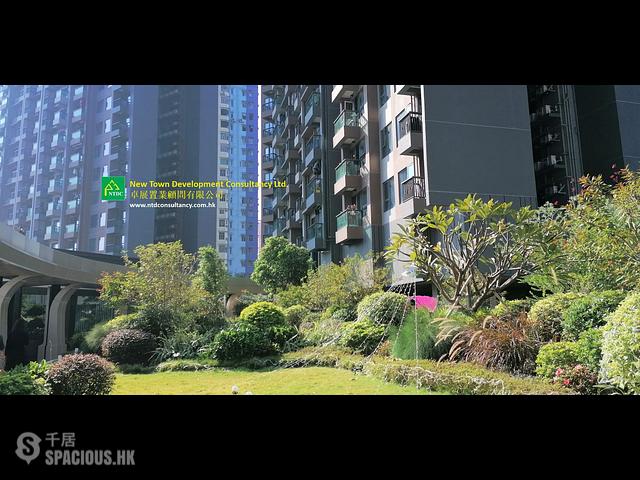 Yuen Long - Sol City 01