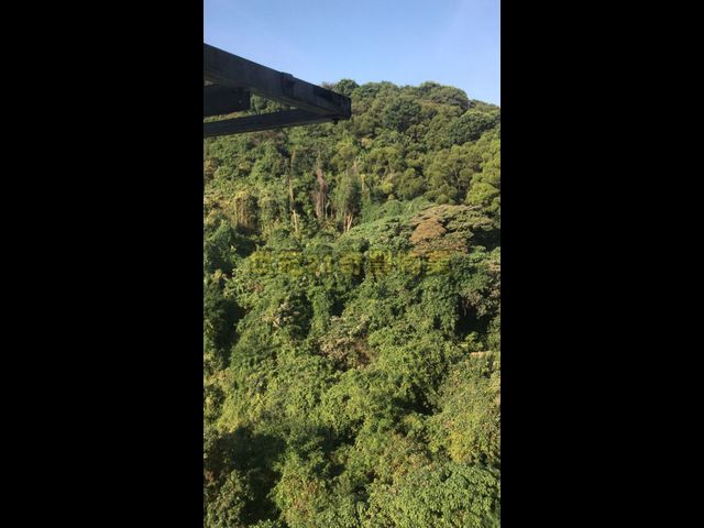 Sha Tin - Springfield Garden 01