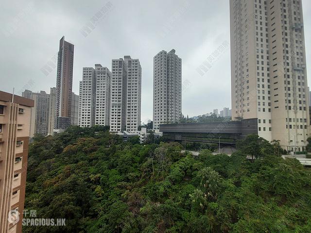 Ting Kok - Richmond Hill Garden 01