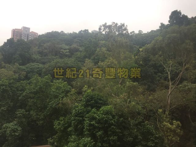 Tai Wai - Mei Chung Court 01