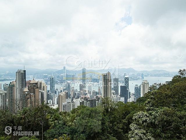 The Peak - Haking Mansions 01